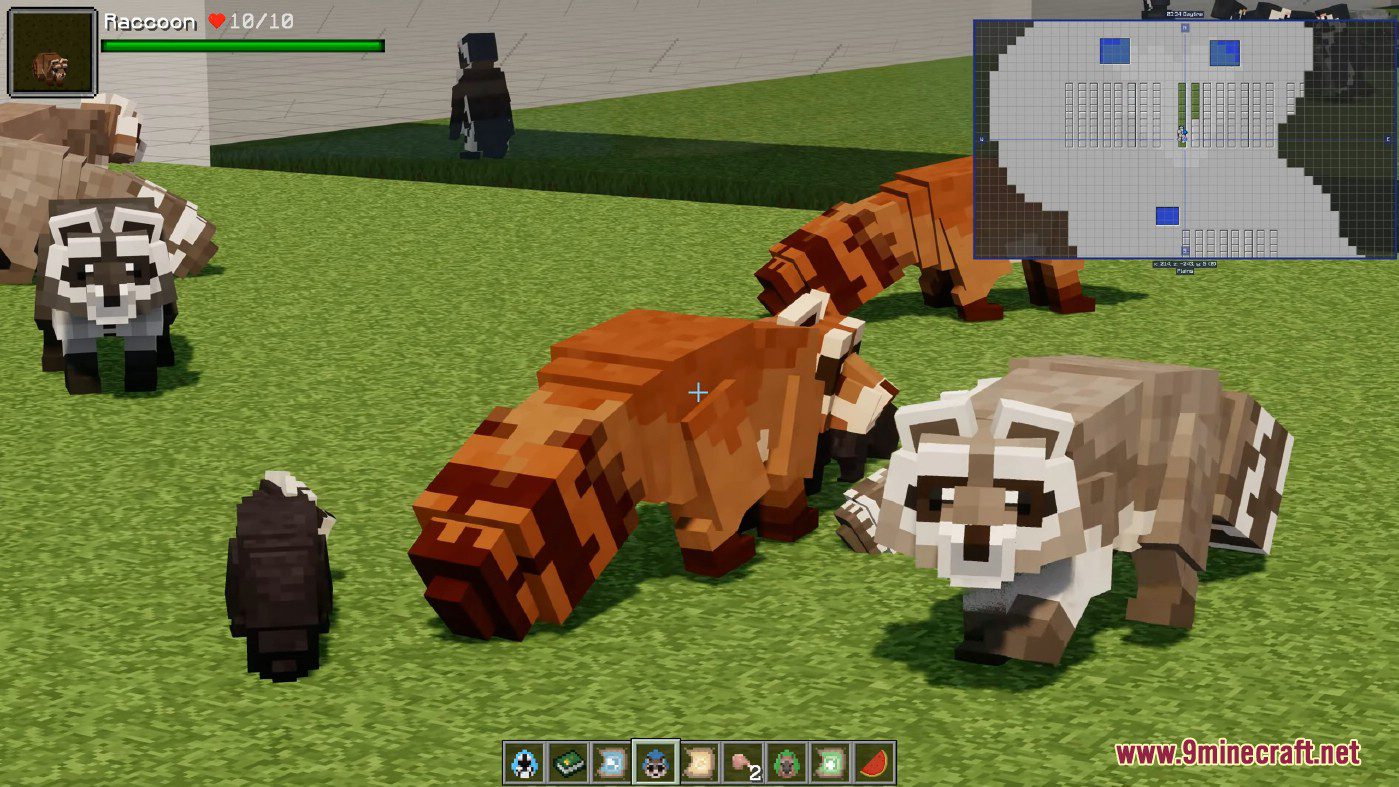 description_17 Lil' Critters Mod 1.16.5 - Cute creatures in the forest