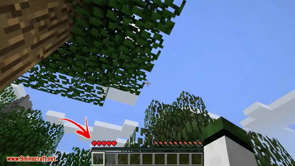 description_2 Limited Lives Mod (1.20.4) - sets the number of lives in the world