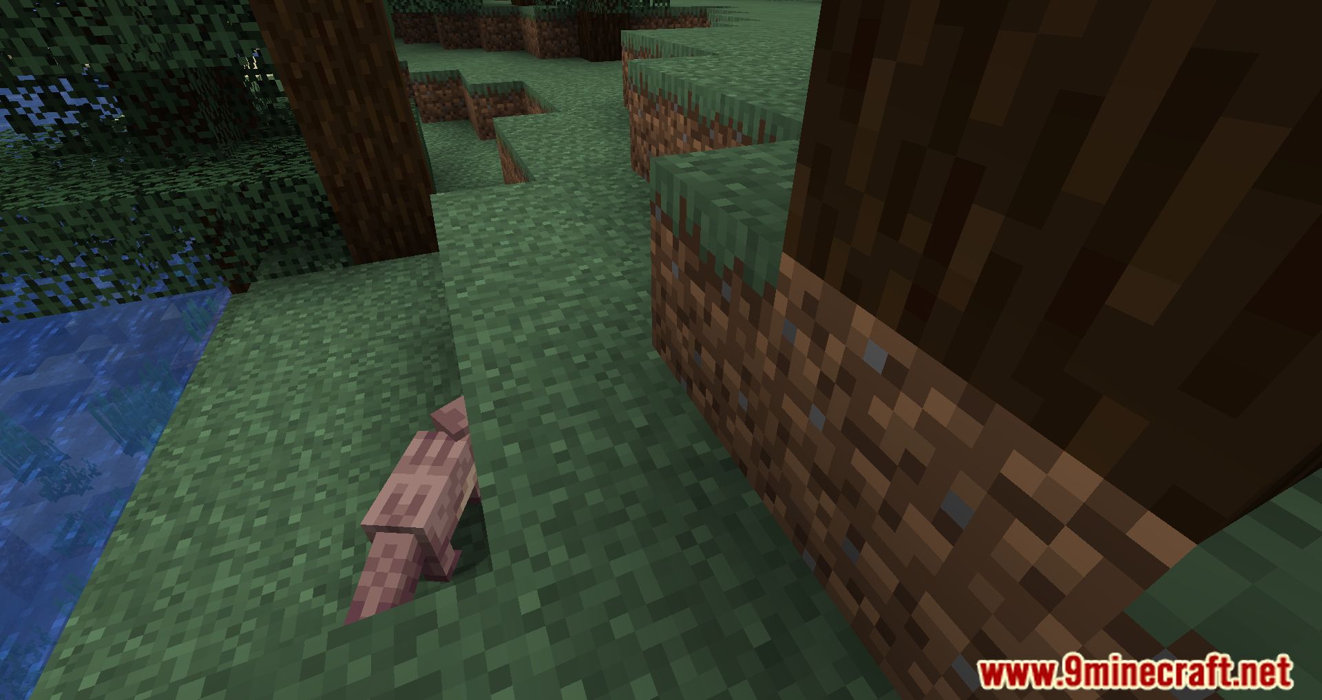 description_6 Ottah Mod - adding the Adorable otter!