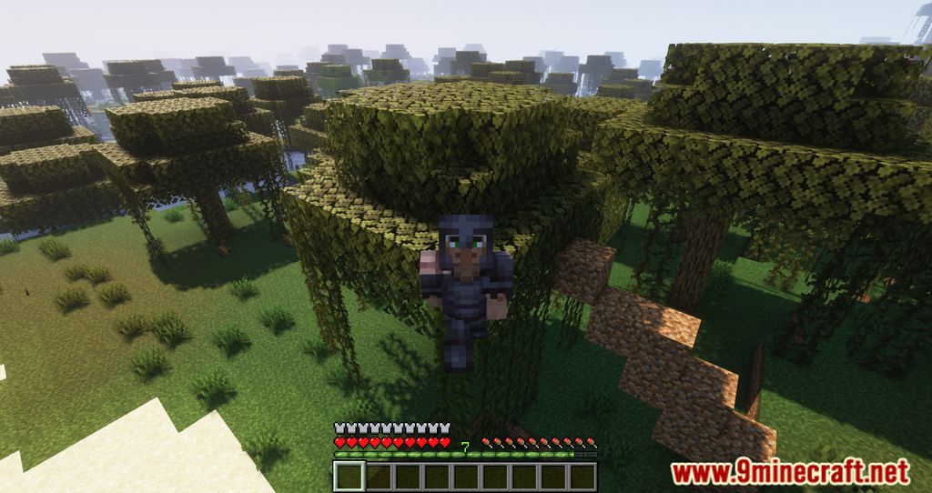 image 3 for Armour Weight Mod (1.20.4) - adds weight to the armor.