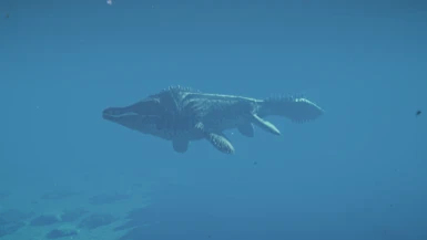  image 4 for