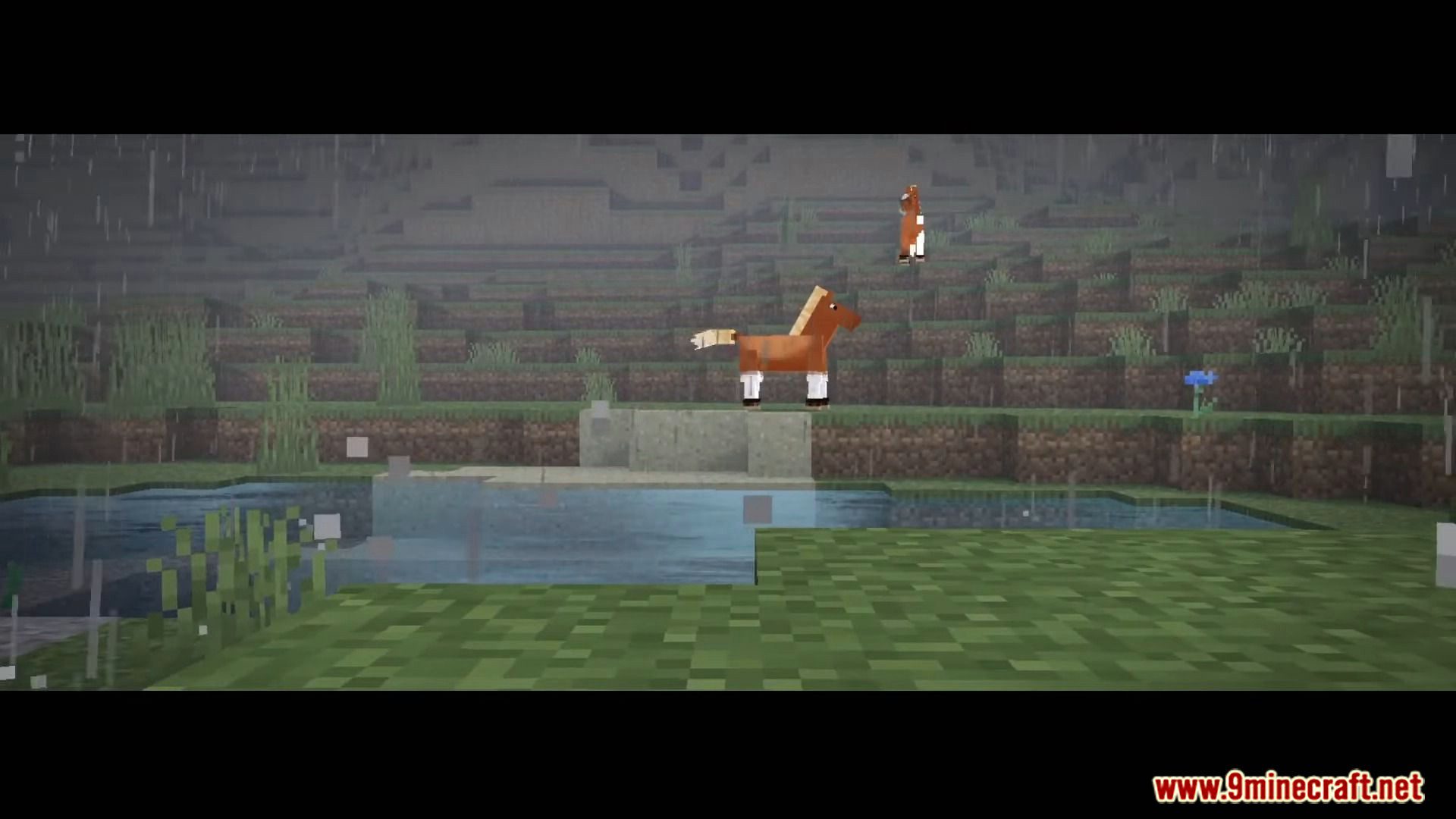 image 7 for Continuum Shader (1.19) - supports dragon rendering.