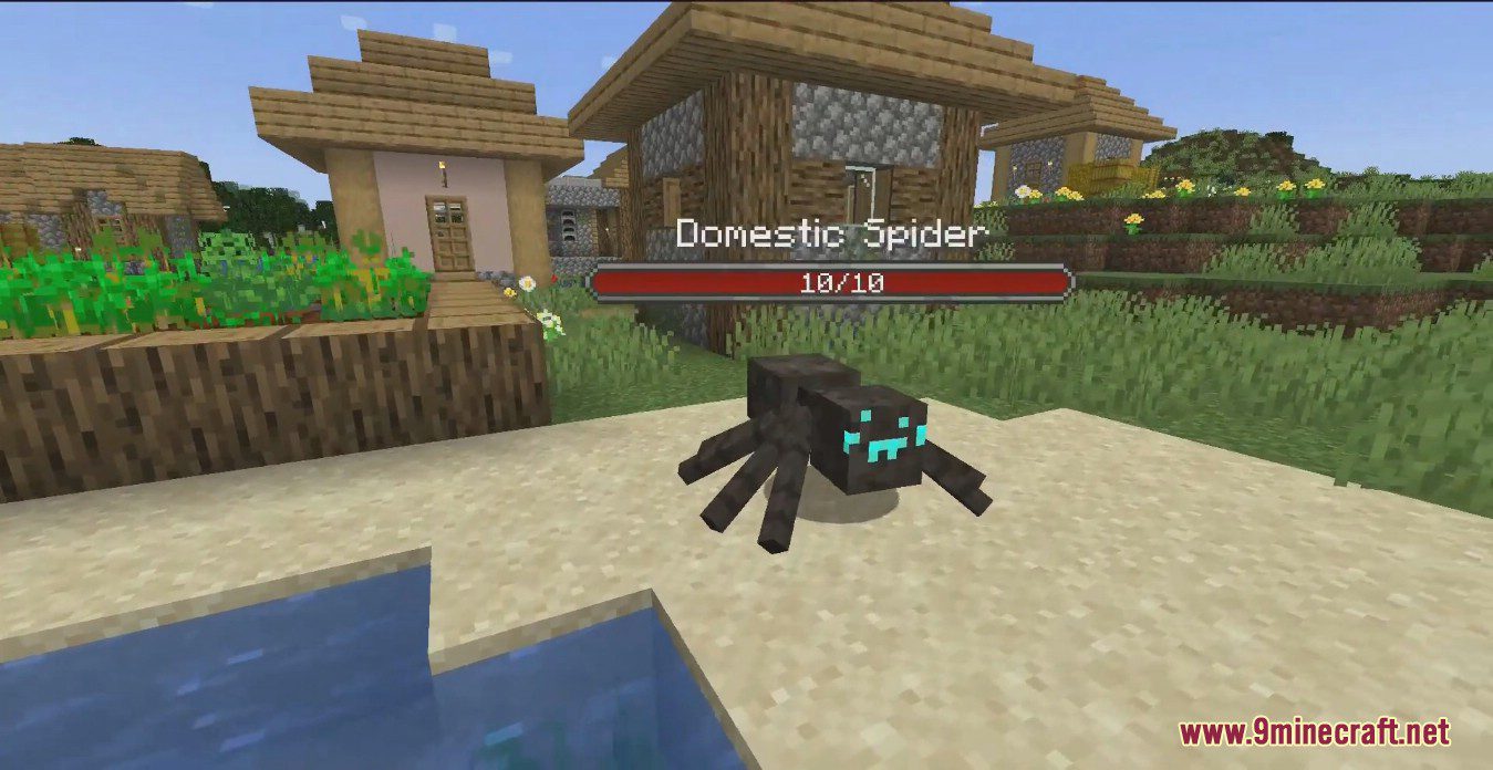 description_4 Arachnid Rancher Mod 1.19.2 - Самые милые безобидные домашние пауки