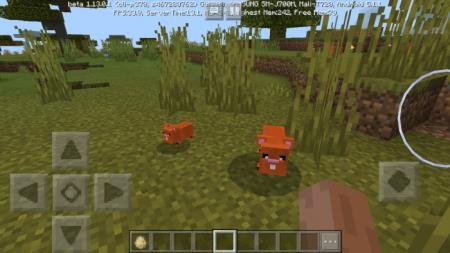 description_3 Mod: Hamster.