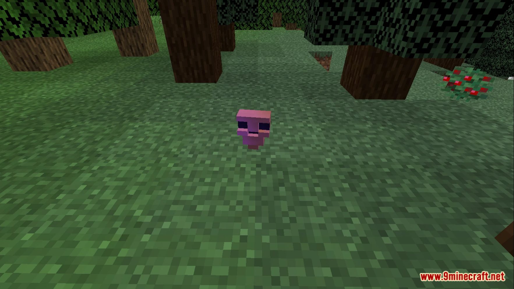 description_7 Adam's Halloween Datapack (1.20.2, 1.19.4) - Embark on a Halloween adventure!