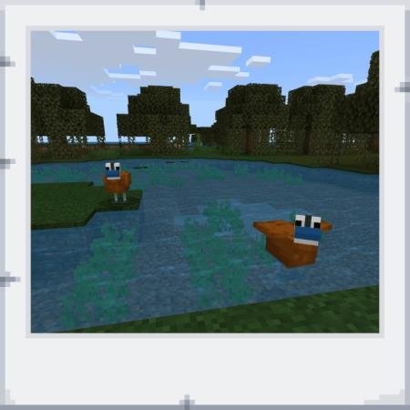 description_24 Comportamiento actualizado.