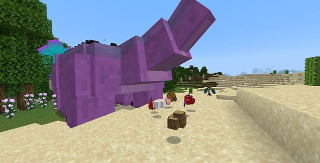 description_6 Кломбы.