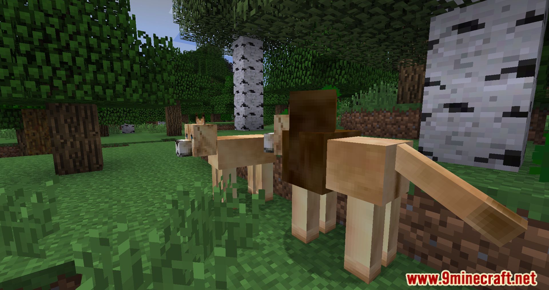 description_24 Magic Farm 3: Harvest Modpack (1.7.10) - усложняет общее выживание
