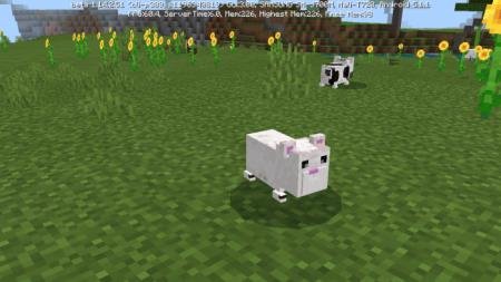 description_7 Mod: Hamster.