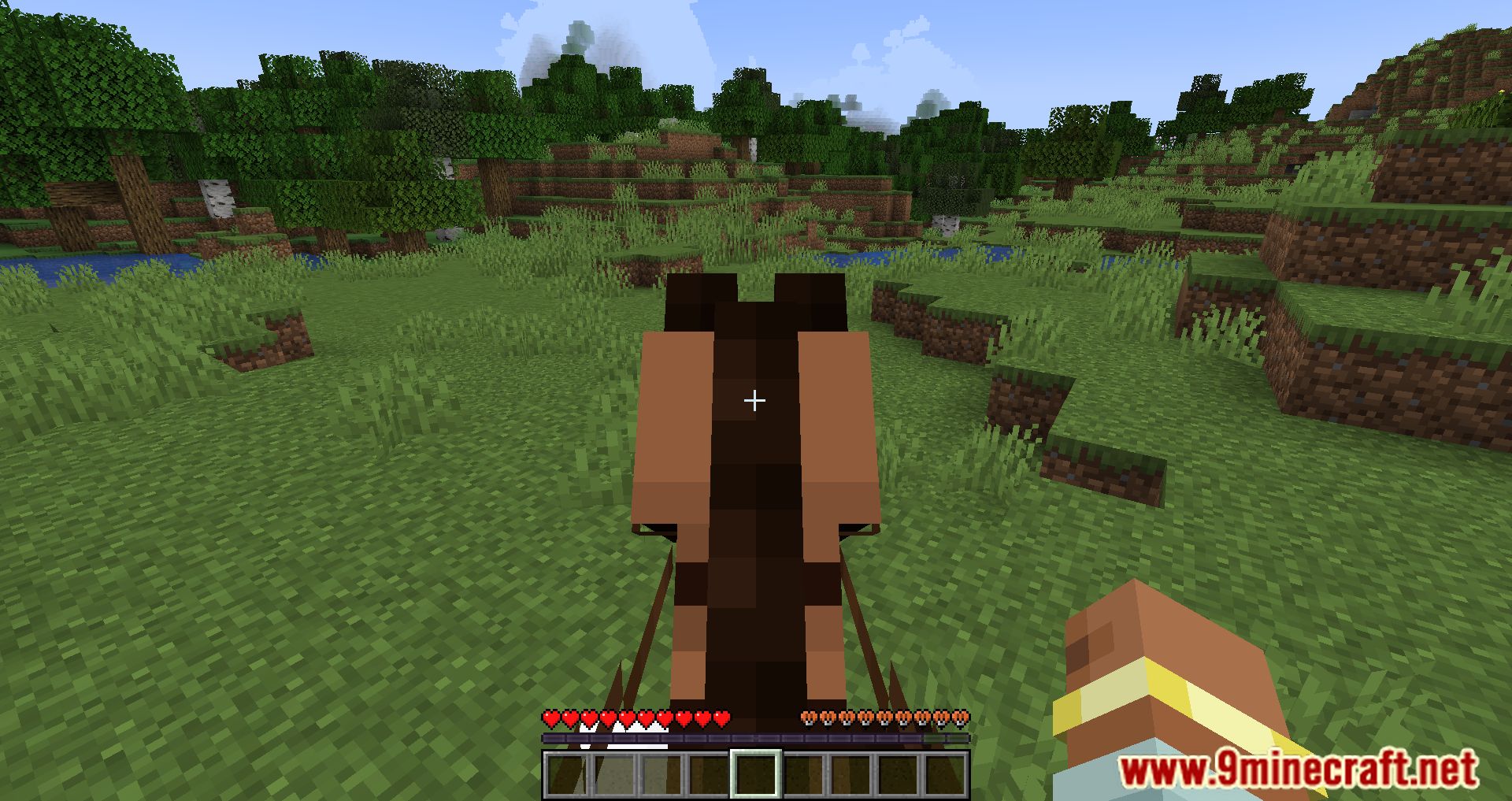 Imagen 2 para Horse Buff Mod (1.20.4) - ¡Mejor juego de caballos!