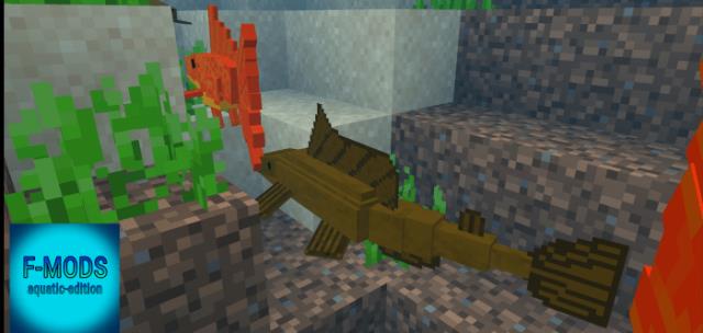 description_5 Exotic fish.