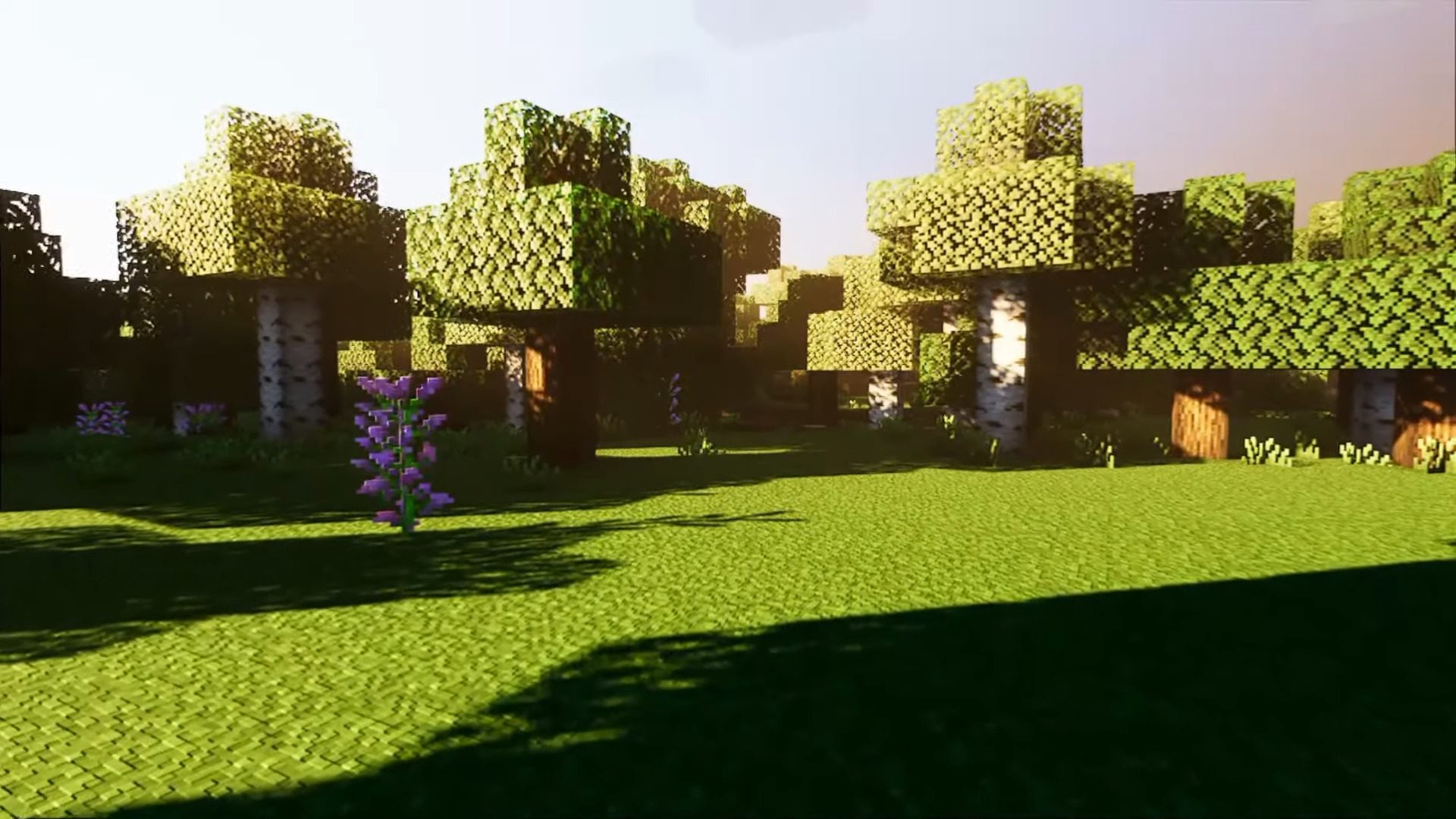 image 1 for Дефектный шейдер клубники (1.20) - MCPE/Bedrock