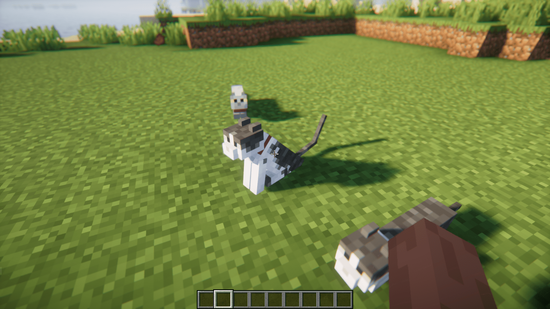 image 4 for Cat Loaf Mod (1.20.4) - domestic cat wrapped in a loaf