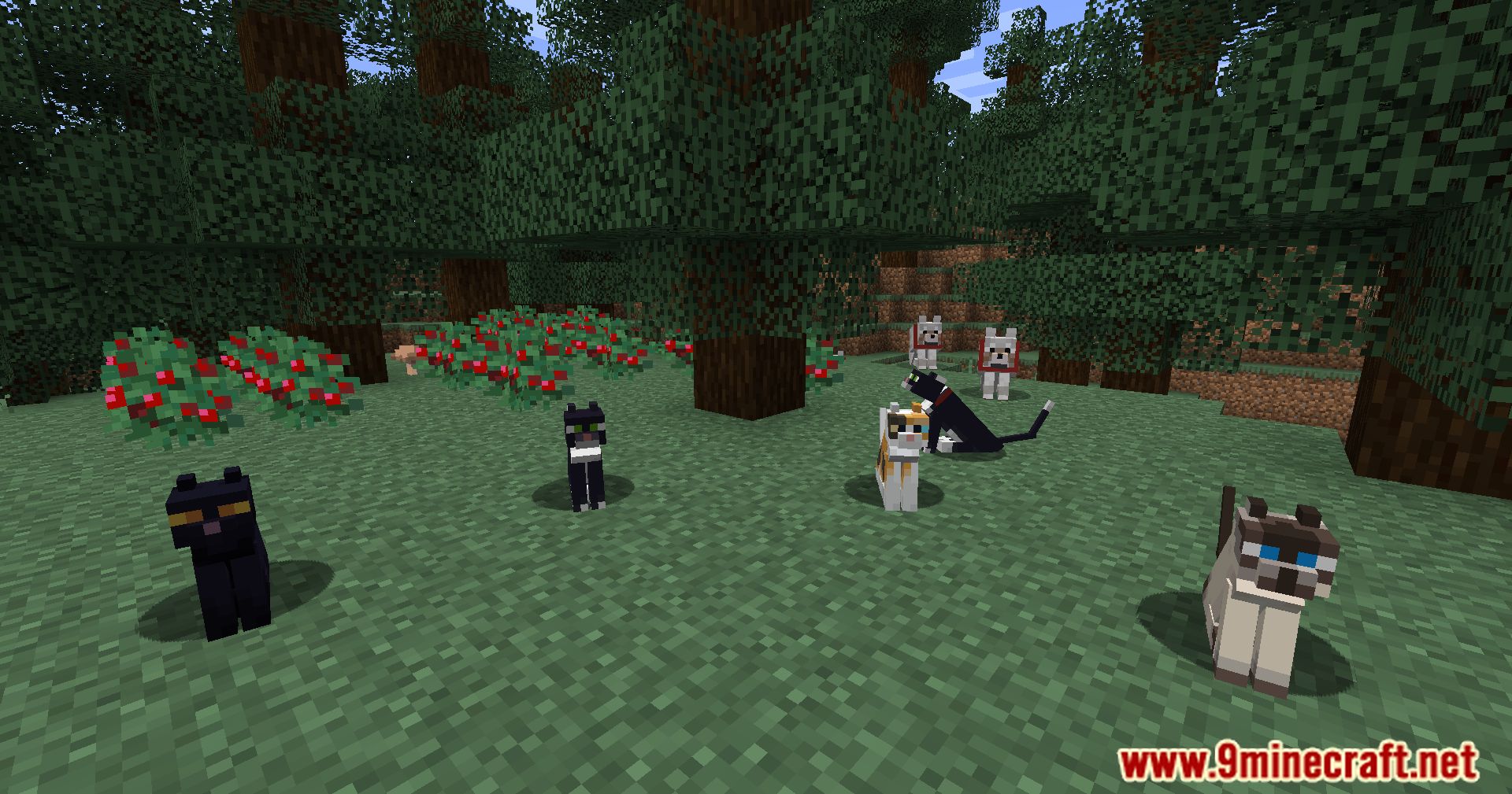 description_8 Dueño de mascotas Mod 1.20.4 - identificar a los dueños de mascotas de un vistazo