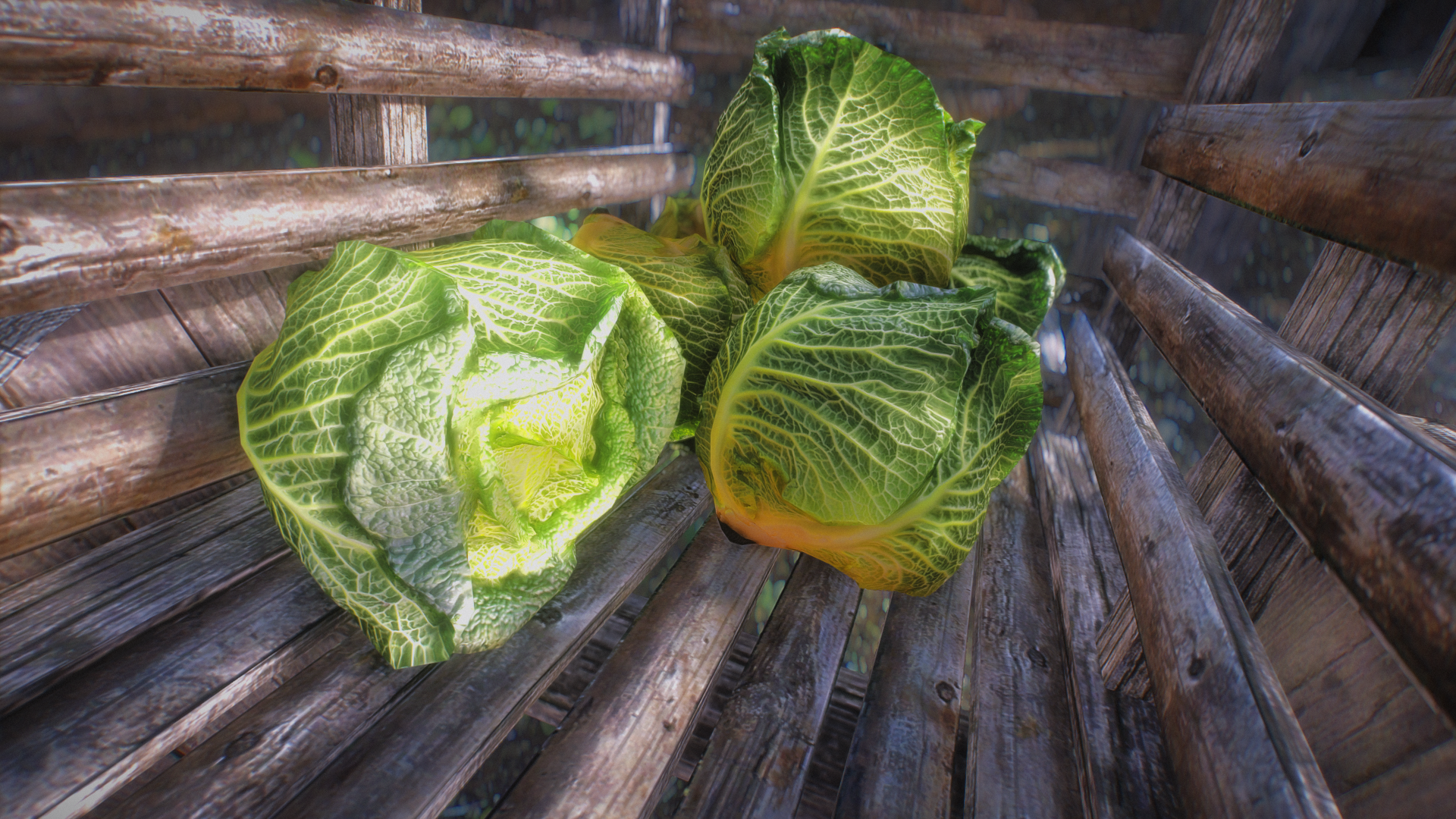 description_7 Капуста / Cabbage - A Cabbage Mod