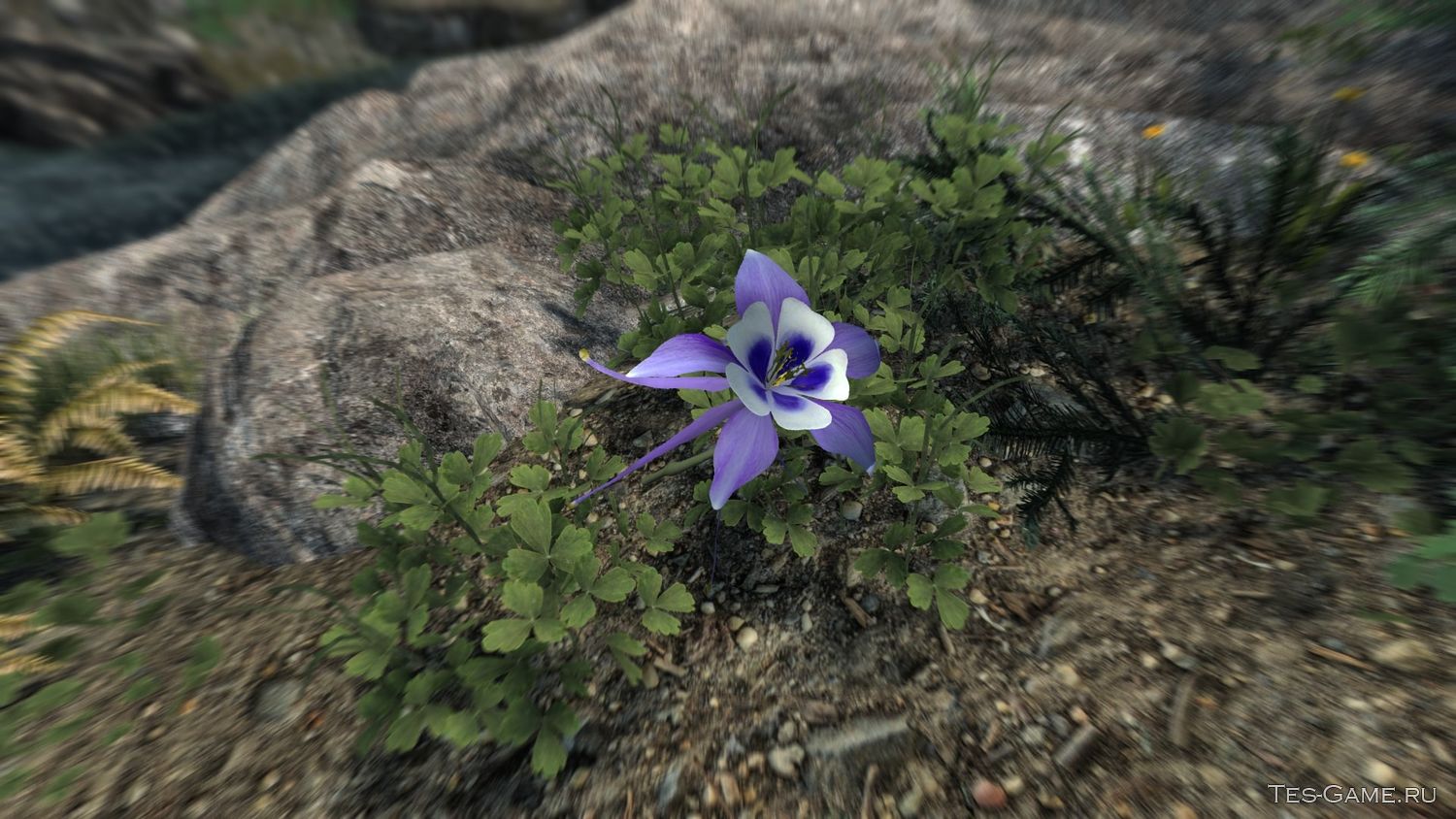 description_2 3D Горные цветки / Cathedral - 3D Mountain Flowers