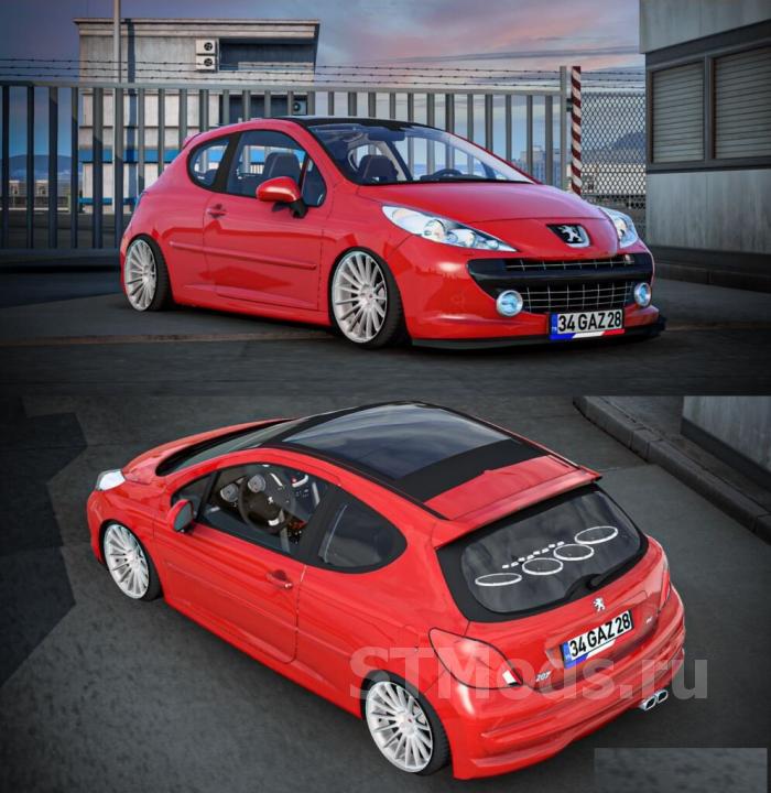 description_0 Peugeot 207 RC