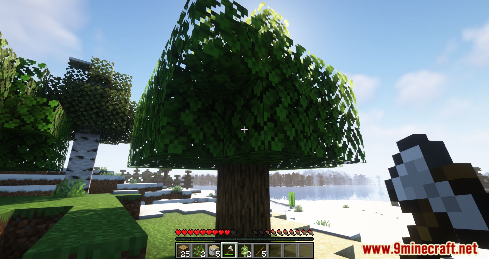 description_10 Desintegración acelerada mod (1.20.4) - útil para cortar árboles