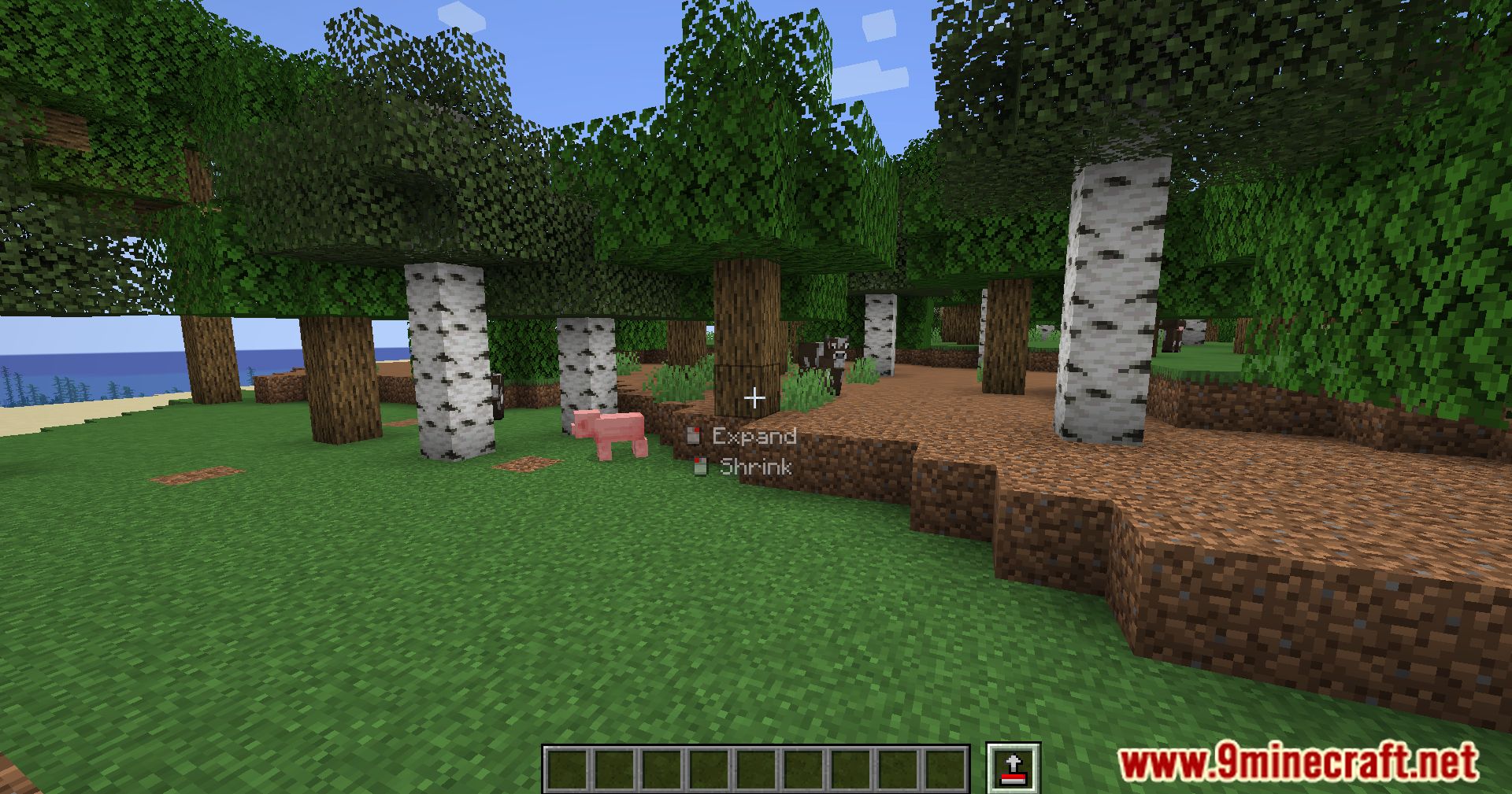 image 8 for Axiom Mod (1.20.6) - универсальный инструмент для редактирования Minecraft