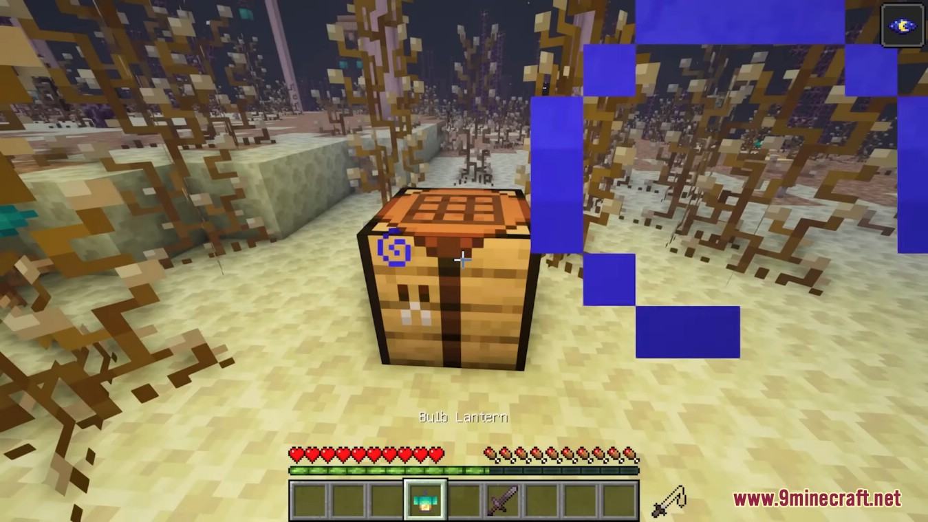 description_9 Enderscape Mod 1.19.2 - Qué hay de nuevo en Enderscape