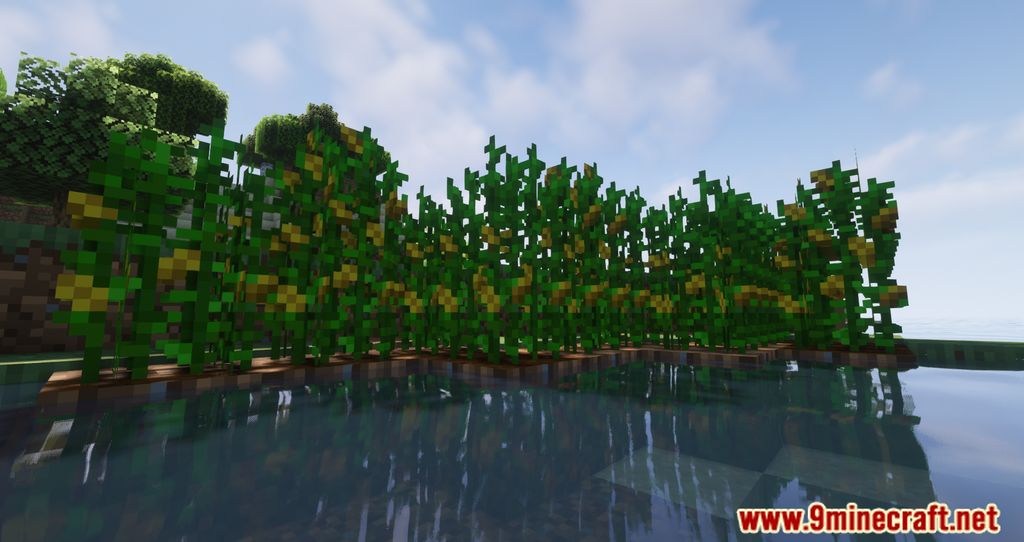 description_2 Corn Delight Mod (1.20.1) - Comida relacionada con el maíz y comestibles
