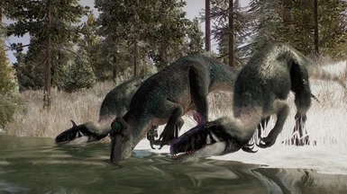 image 4 for 