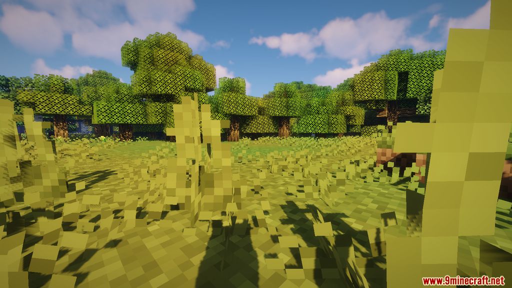 description_0 8BitCraft 2 Resource Pack (1.20.4, 1.19.4) - текстурный пакет