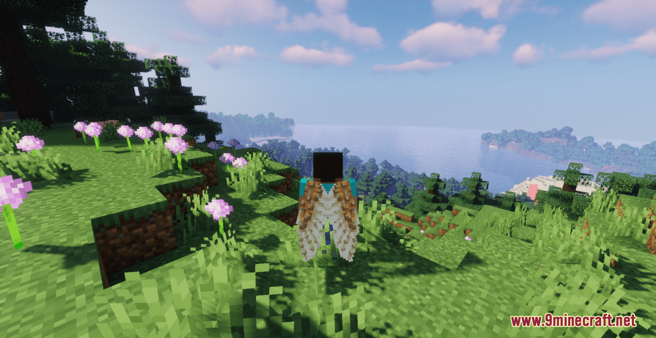 description_2 Membrane Owl Wings Elytra Resource Pack (1.16.5 до 1.19.3, 1.19.2 ) - Пакет текстур