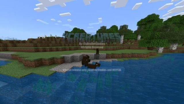 description_11 More animals.