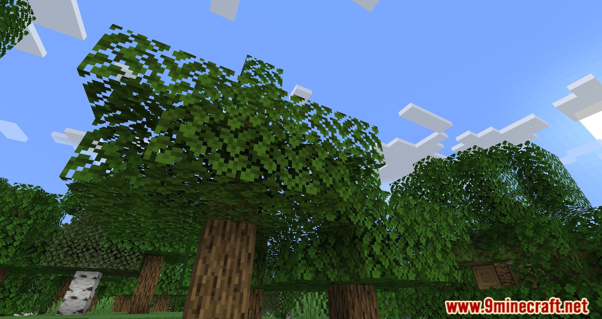 description_1 Cull Less Leaves Reforged Mod (1.20.2) - Melhora o visual e o desempenho da sua Minecraft.