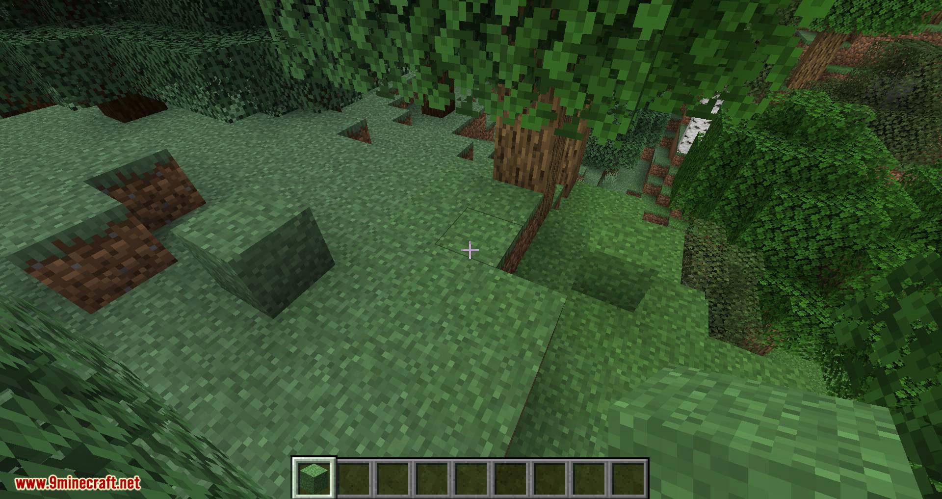 image 15 for Grass Mode (1.20.1) - Colorize the decorative blocks of grass.