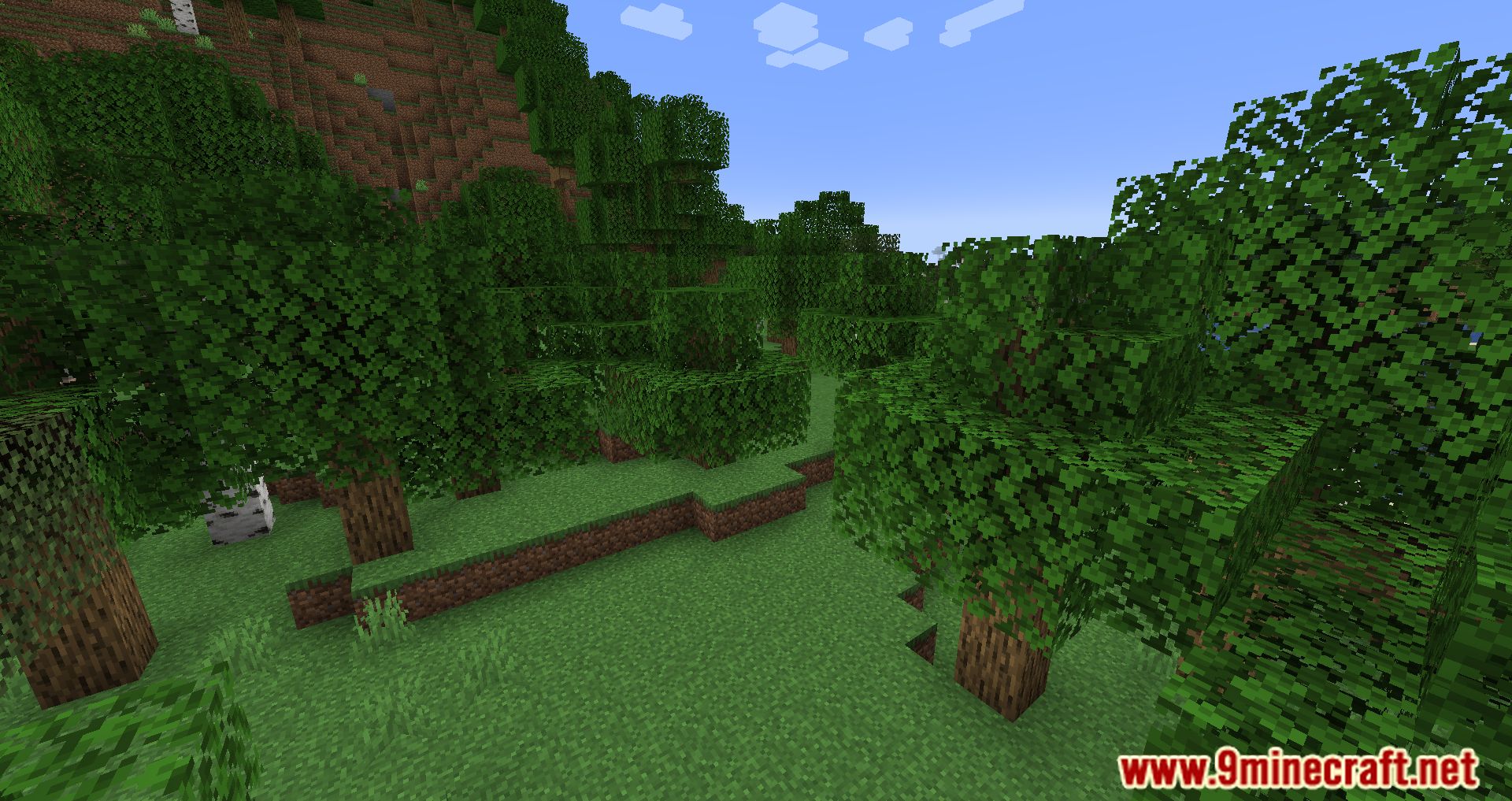 description_2 Cull Less Leaves Reforged Mod (1.20.2) - Melhora o visual e o desempenho da sua Minecraft.