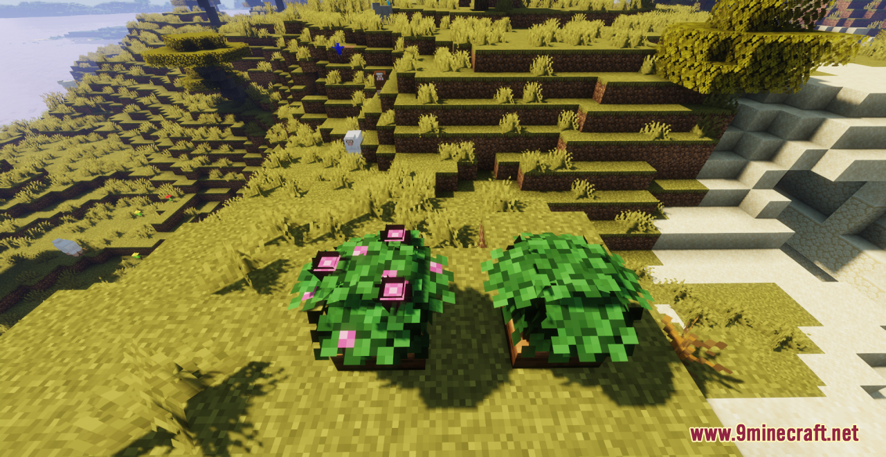 description_0 Kubban's Saplings Resource Pack (1.18.2, 1.19.3, 1.19.2) - texture pack