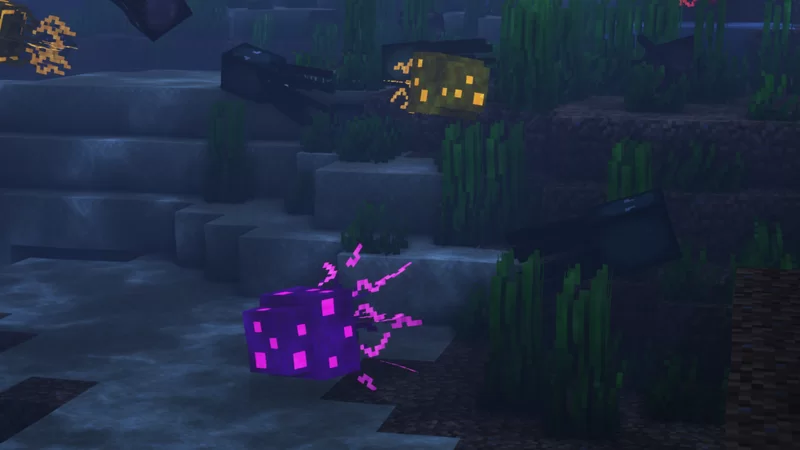image 1 for