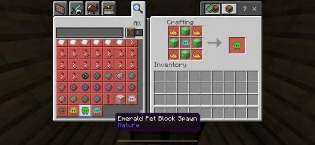 description_9 Block pets.