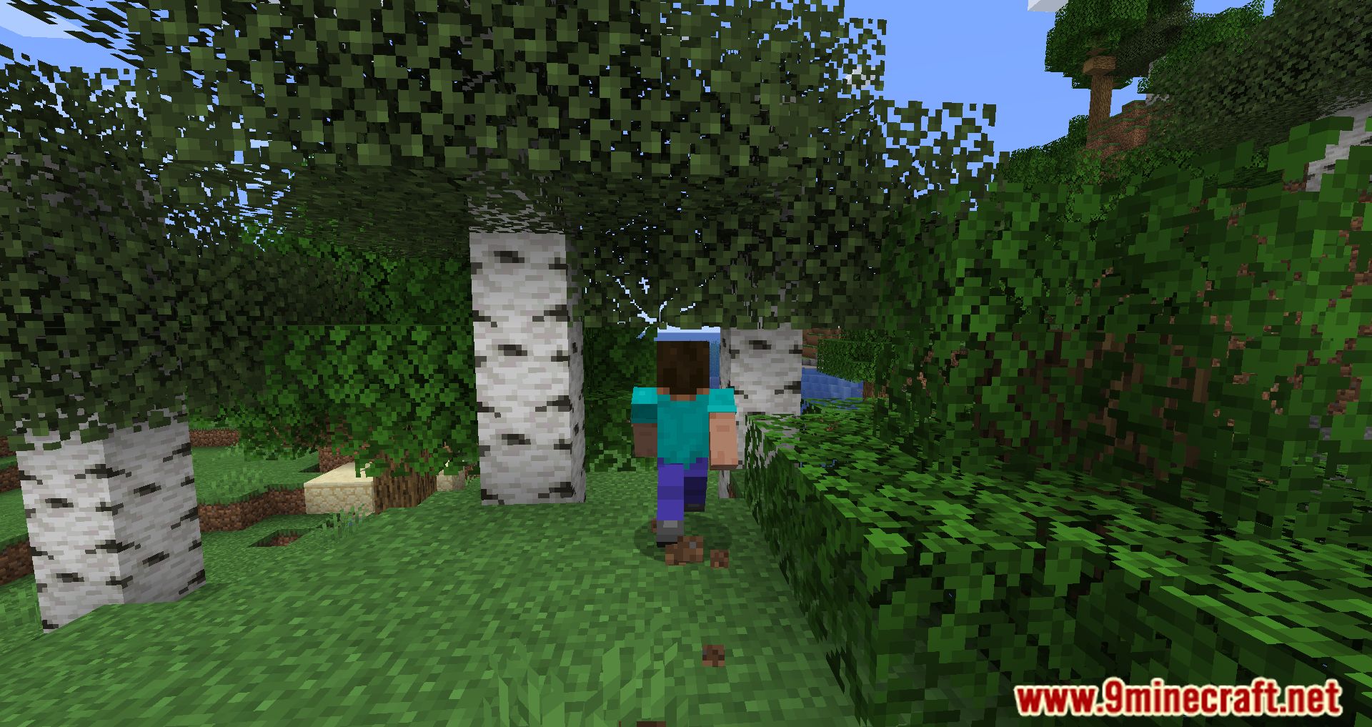 description_4 Hidden Names Mod 1.20.4 - Настройте имена других игроков, скрыв их.