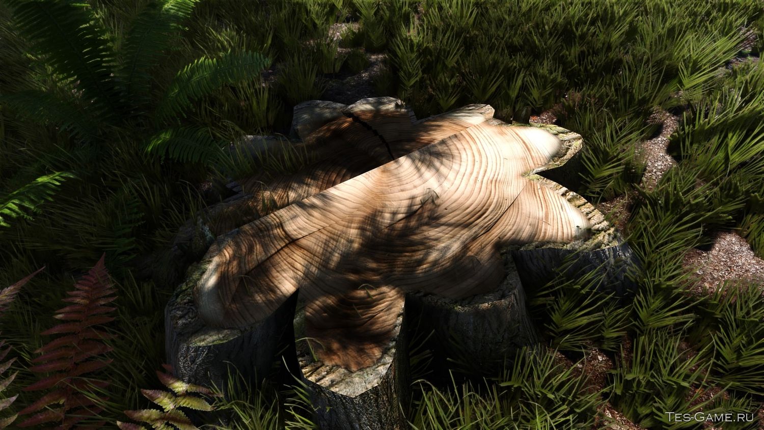 description_2 High-quality retexture of stumps