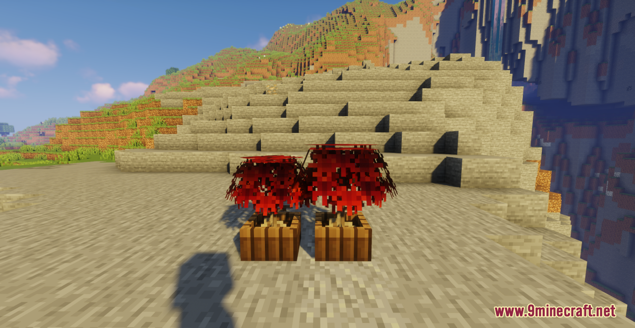 description_11 Kubban's Saplings Resource Pack (1.18.2, 1.19.3, 1.19.2) - texture pack