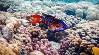 image 4 for