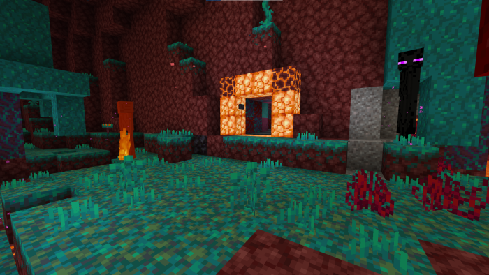 description_2 Asignar sólo Nether