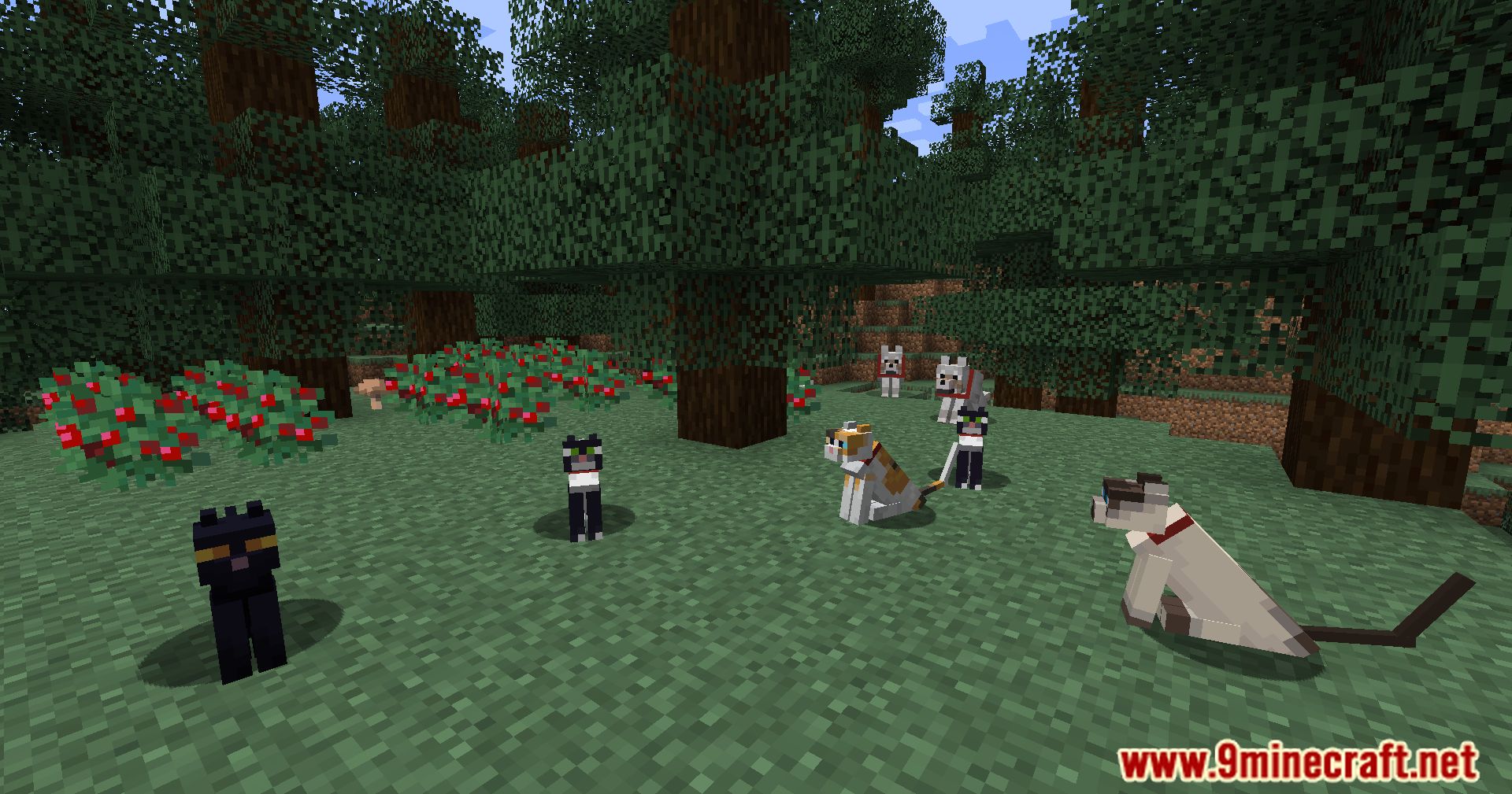 description_6 Pet Owner Mod 1.20.4 - identificar a los dueños de mascotas de un vistazo