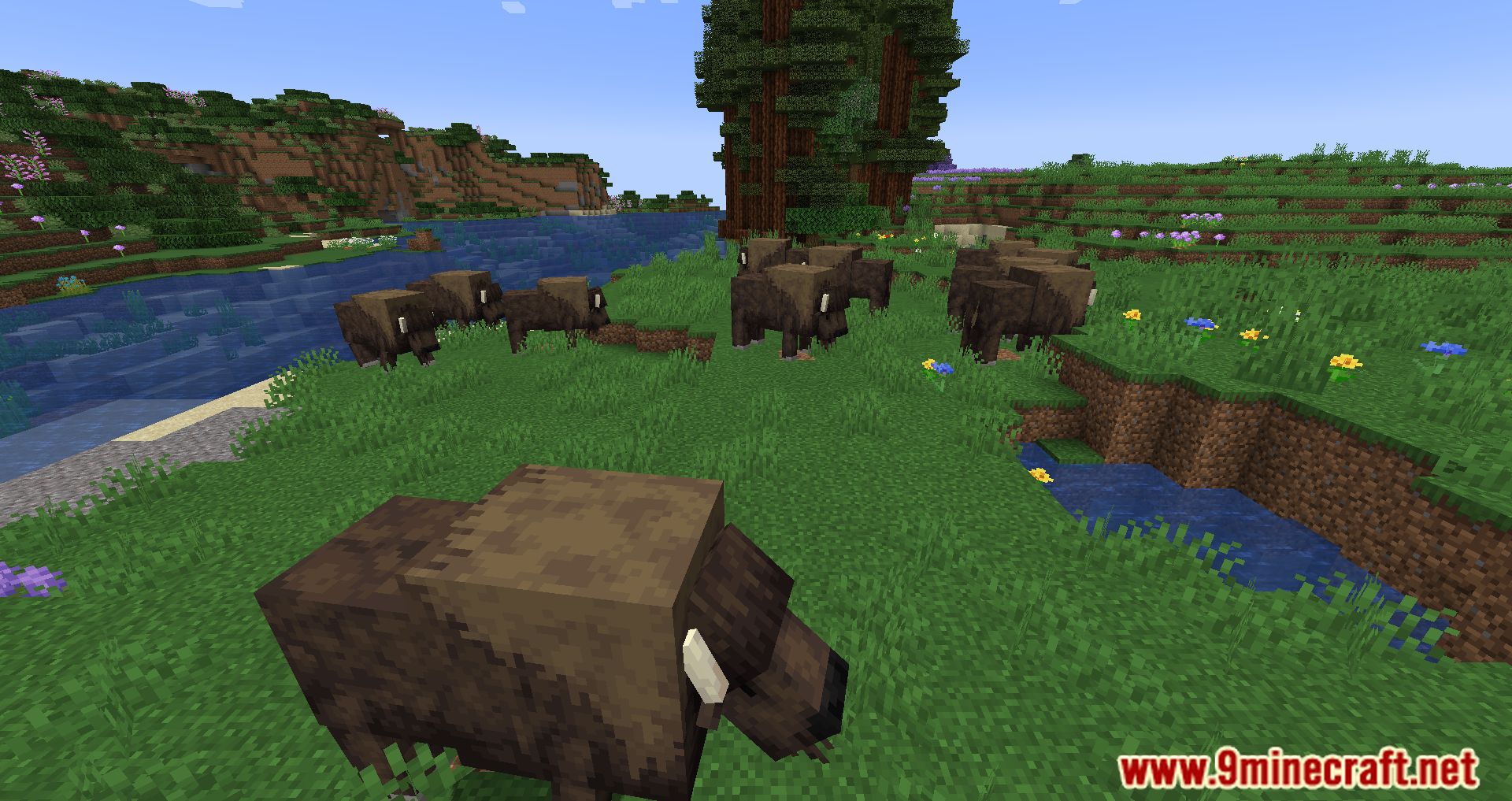 description_17 Mod Pack ligeramente aromatizado - Escucha el viento y la aventura.
