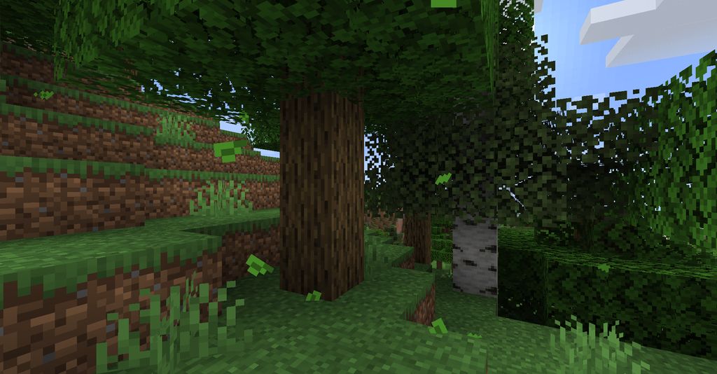 imagem 4 para