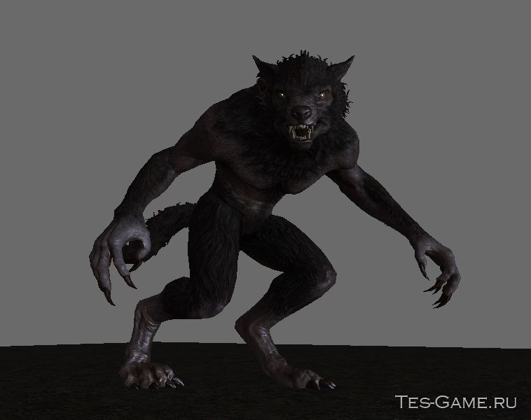 description_0 Wicked Werewolves - Werewolves SE replayer