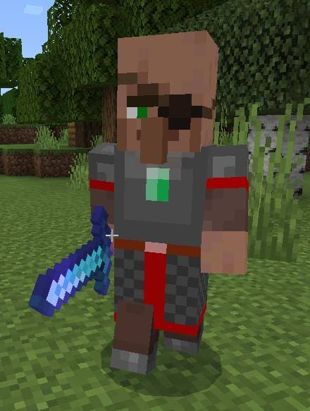 description_2 Villager soldier 2.