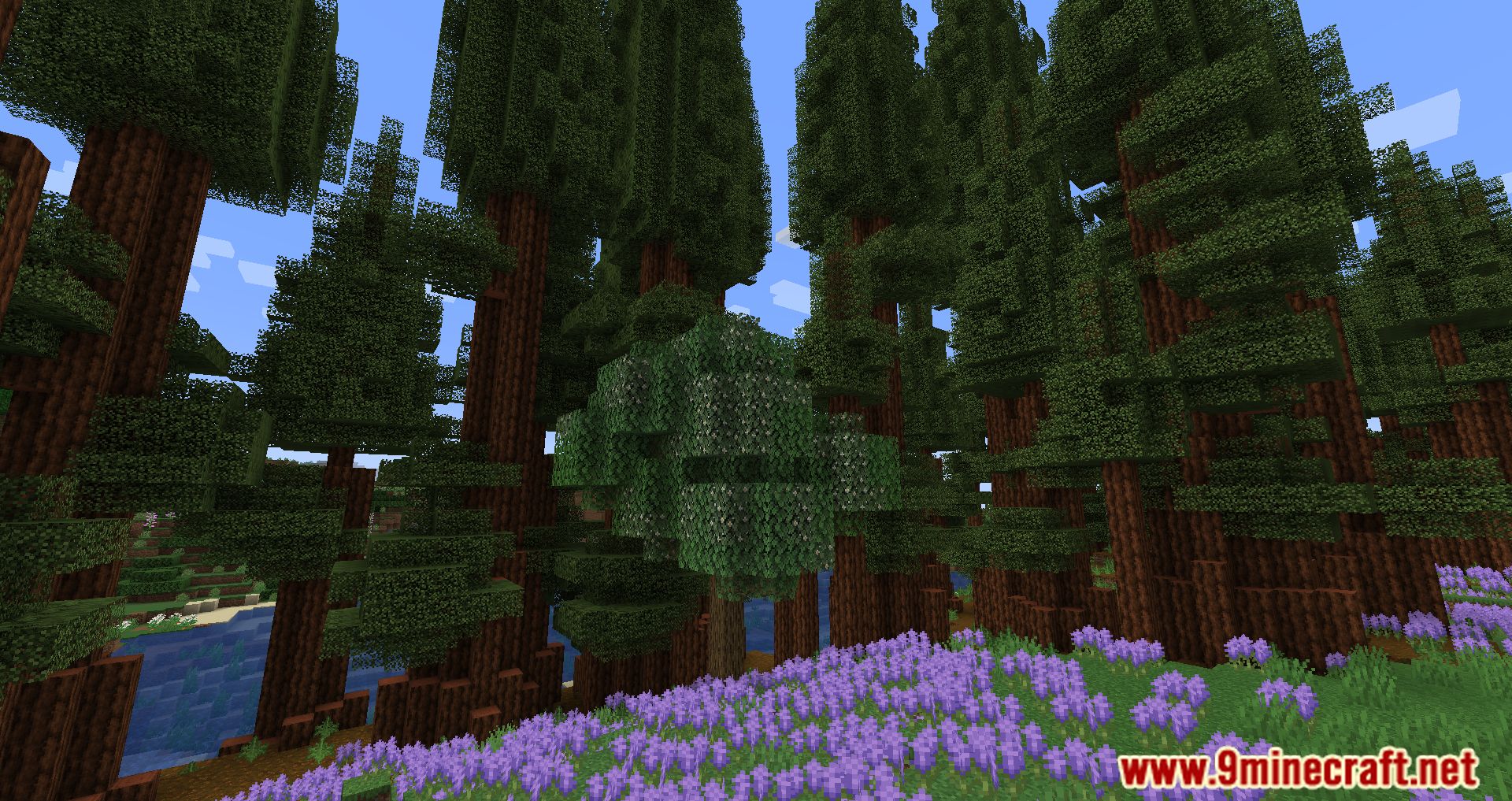 description_16 Mod Pack ligeramente aromatizado - Escucha el viento y la aventura.