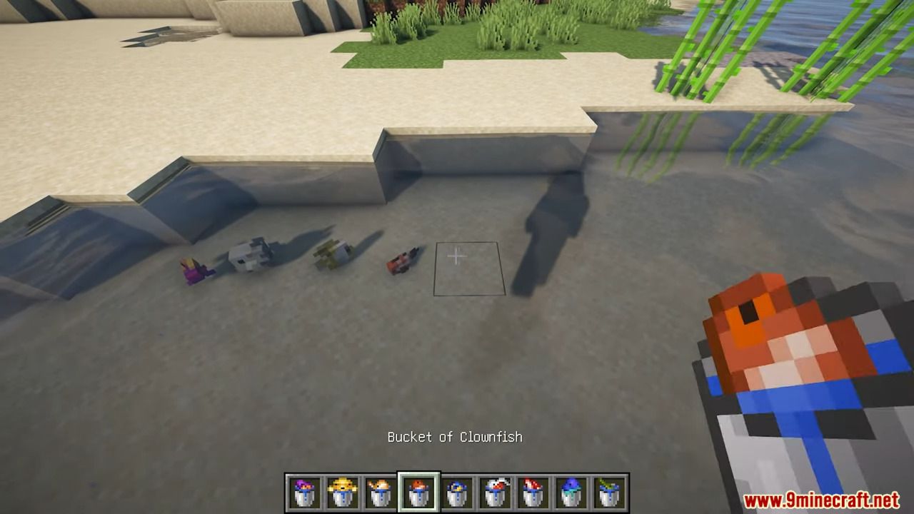 description_2 Rainbow Reef Mod (1.20.1) - 79+ dazzling fish