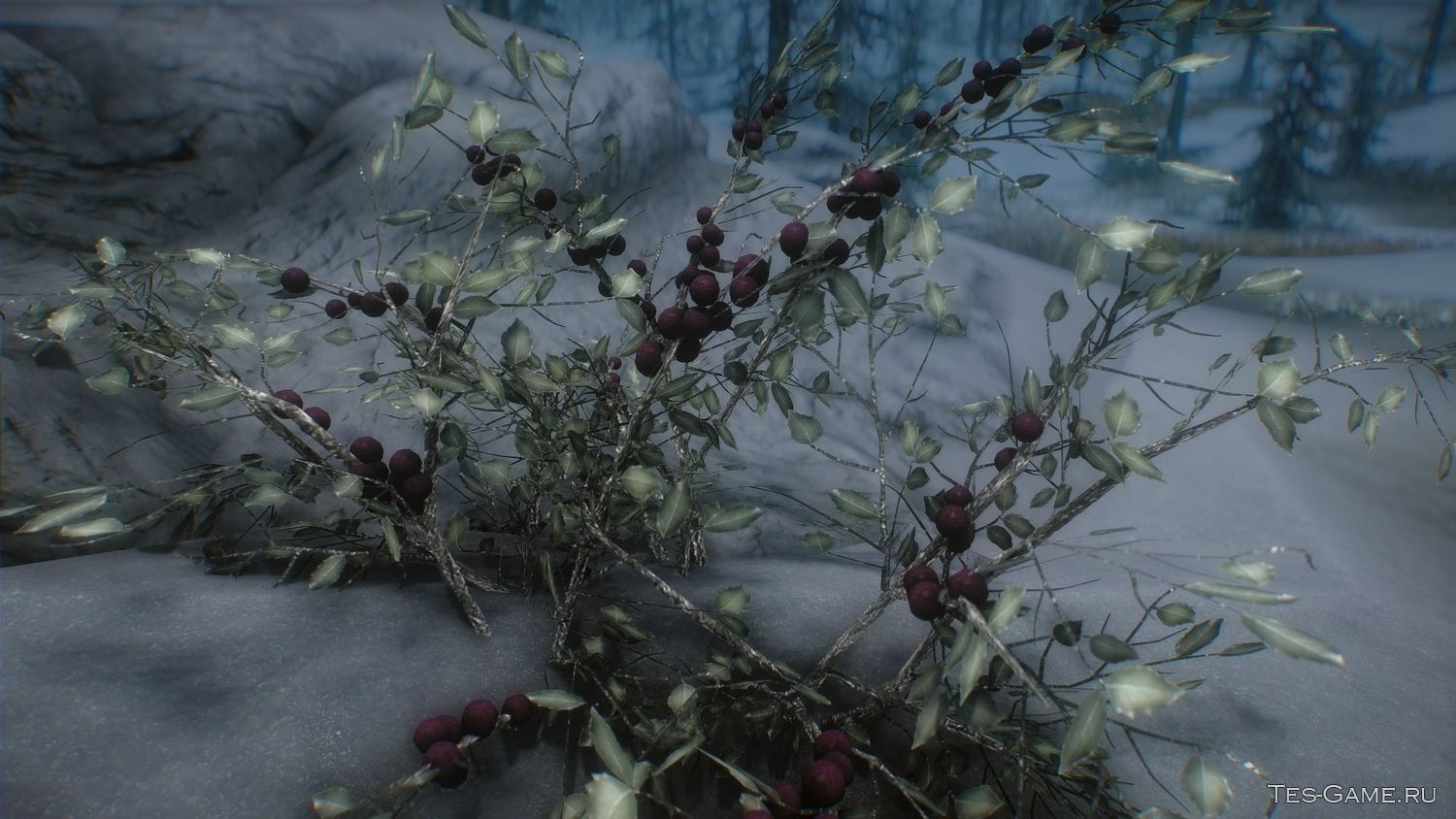 description_2 3D Snowberries SE - Снежные Ягоды 3D SE