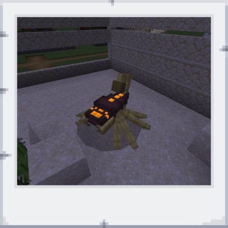 description_20 Comportamiento actualizado.