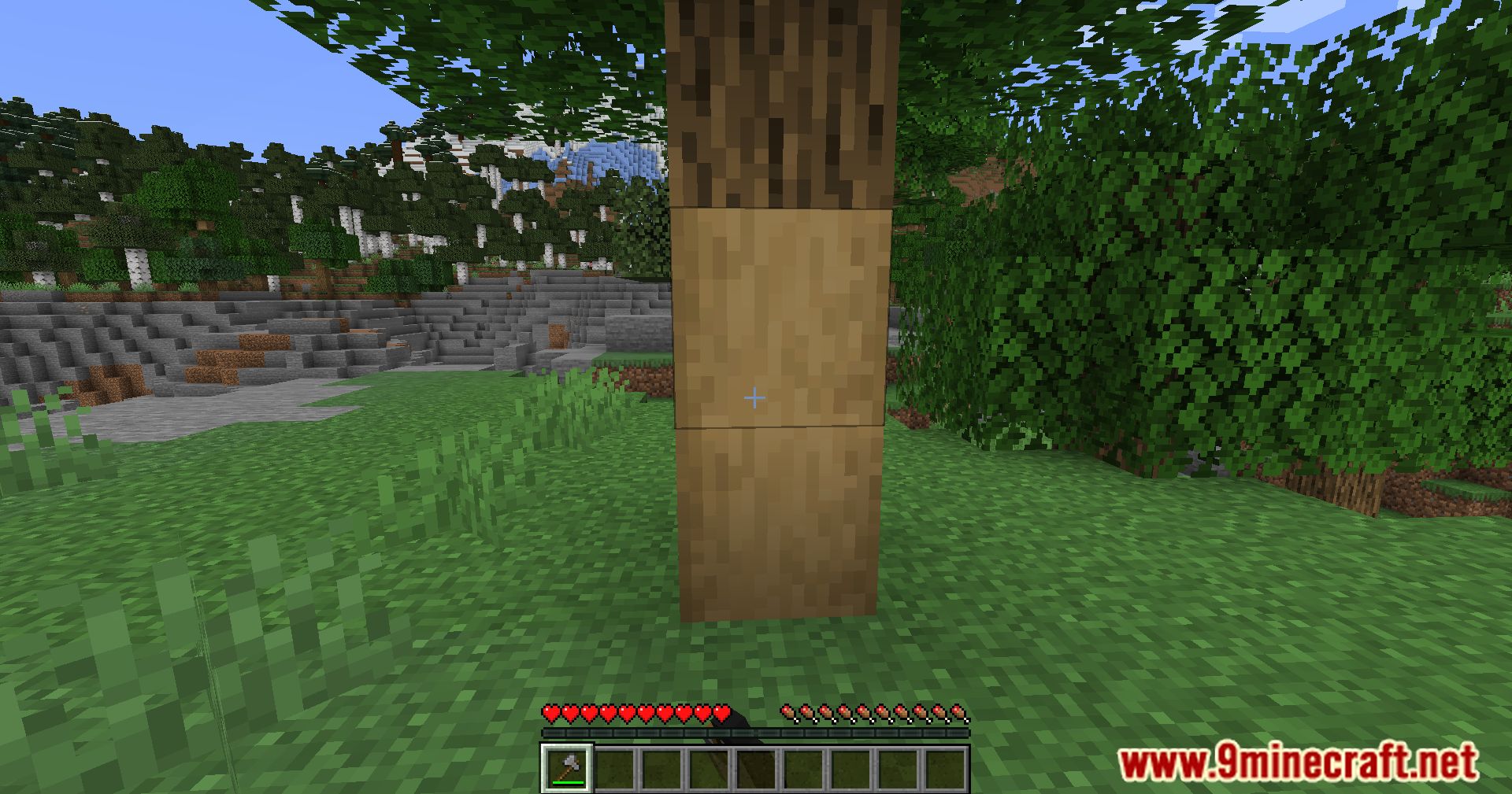 image 2 for No Strip Mod (1.20.4) - Обеспечивает естественный вид